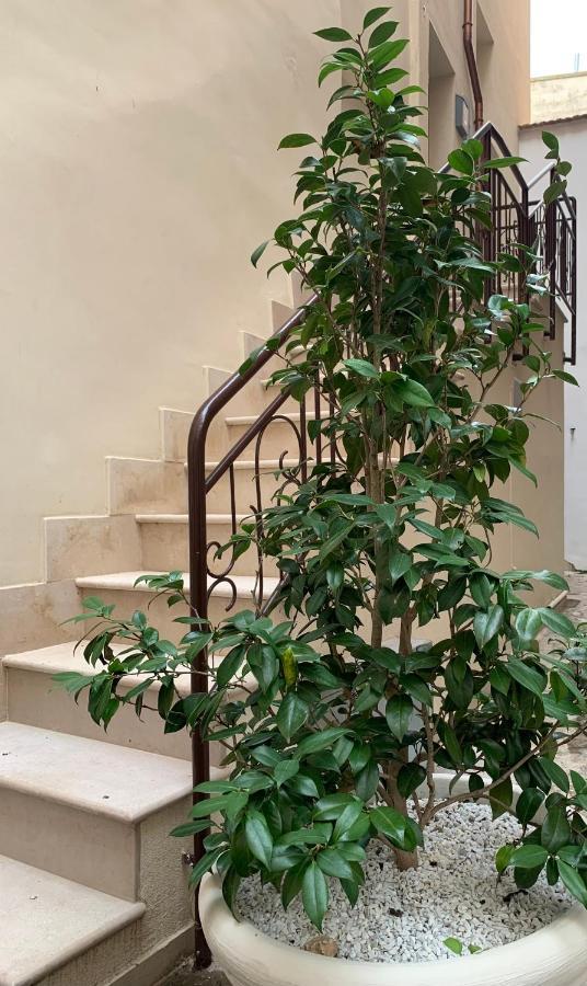 Appartamento Camelia Palo del Colle Exterior photo